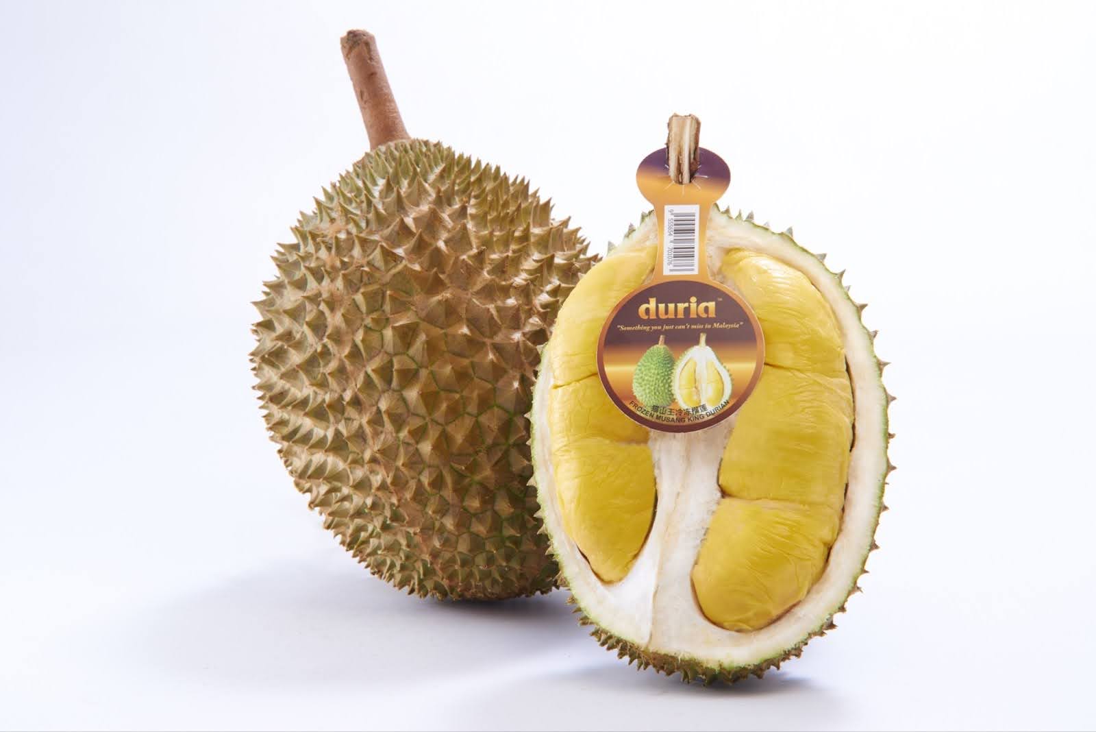Frozen Durian Whole Fruit - Image 1